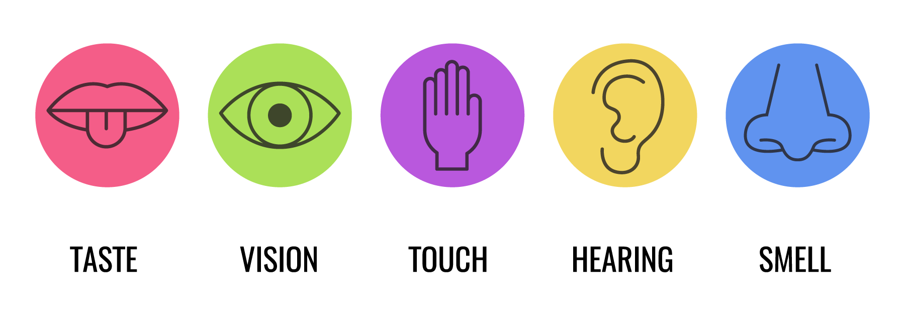 Sensory elements for neurodiverse individuals