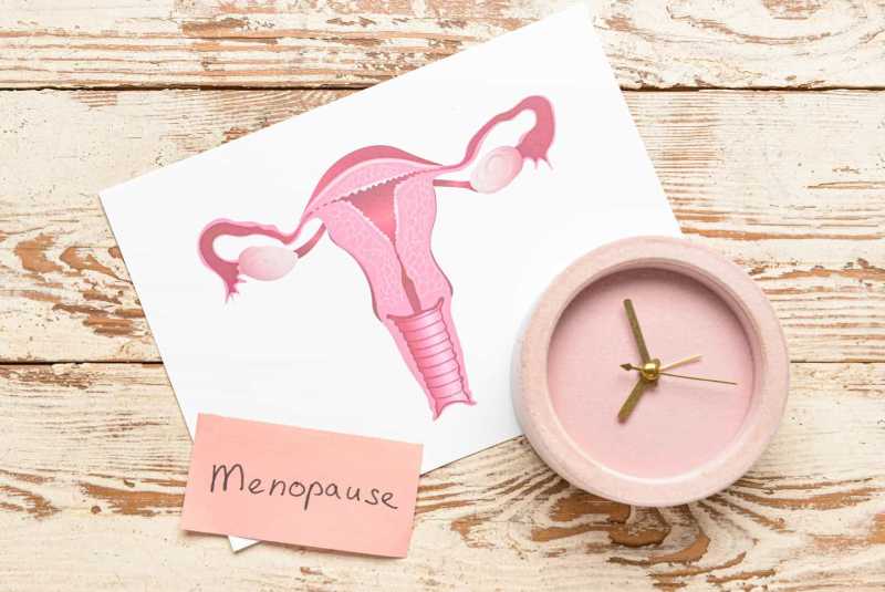 Nutrition & Menopause: Fuelling Your Health & Wellbeing During Transformation