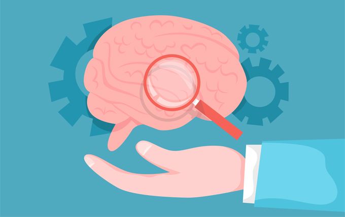 Differing behaviour of neurodiversity