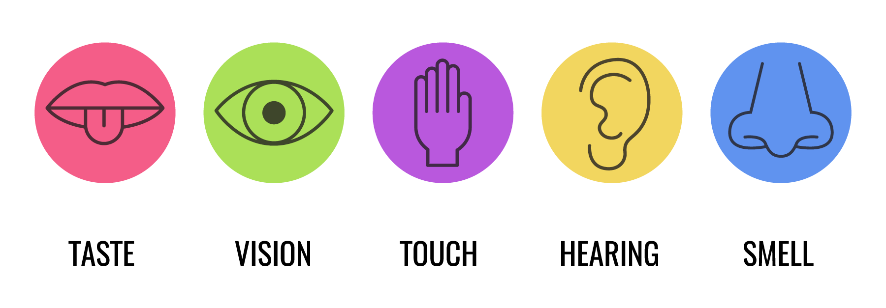 Sensory elements for neurodiverse individuals